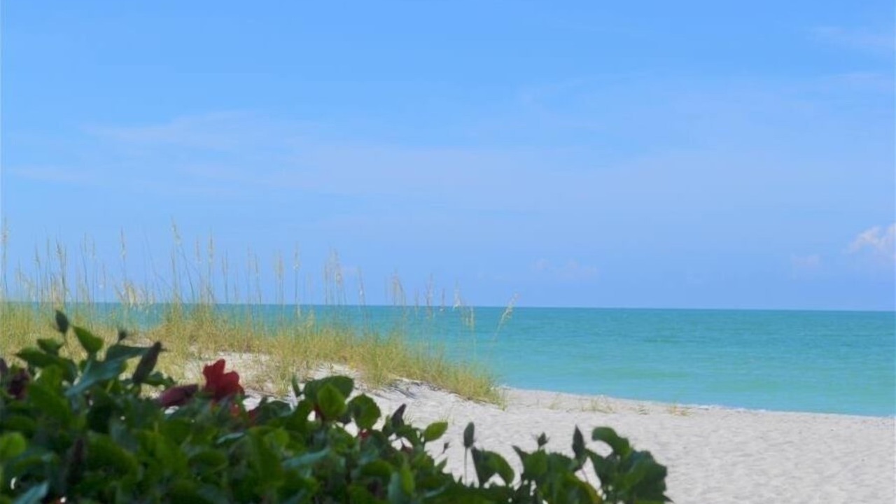 Photo of Others in Longboat Key