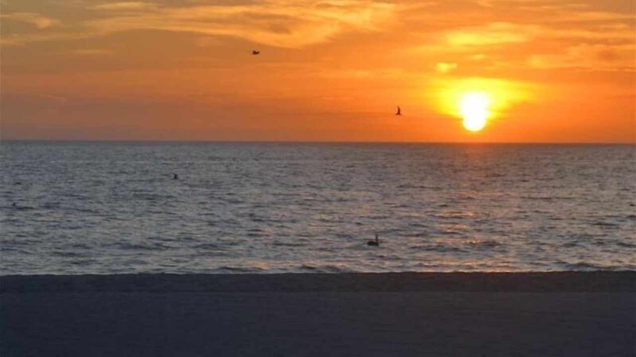 Photo of Others in Longboat Key