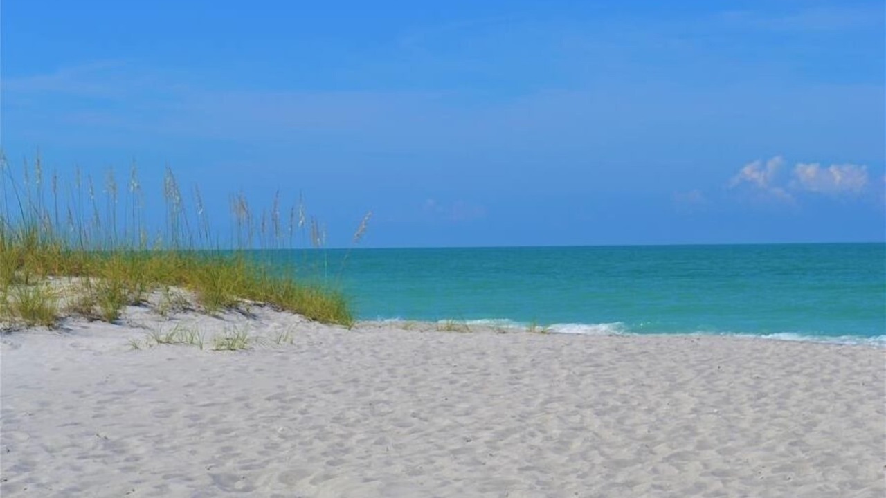 Photo of Others in Longboat Key