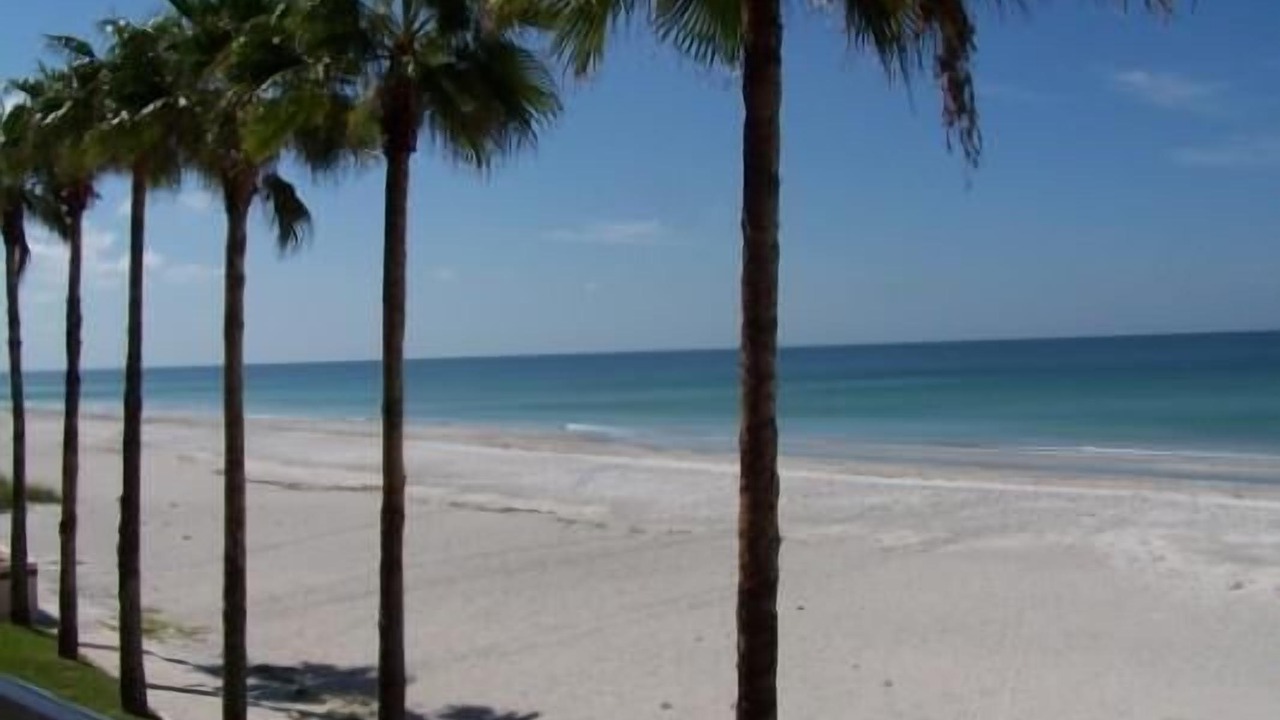 Photo of Others in Longboat Key