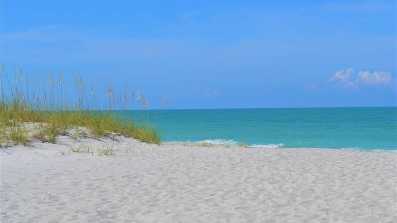 Photo of Others in Longboat Key
