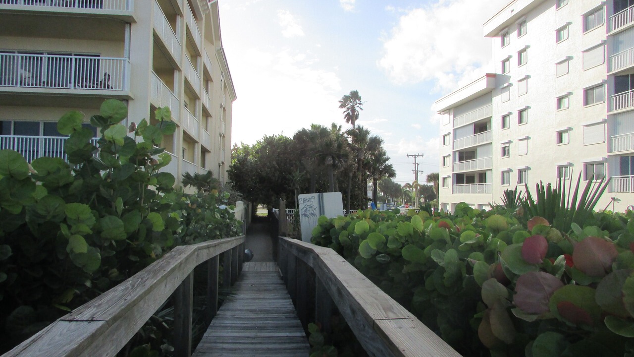 Photo of Outdoor in Ocean Oaks