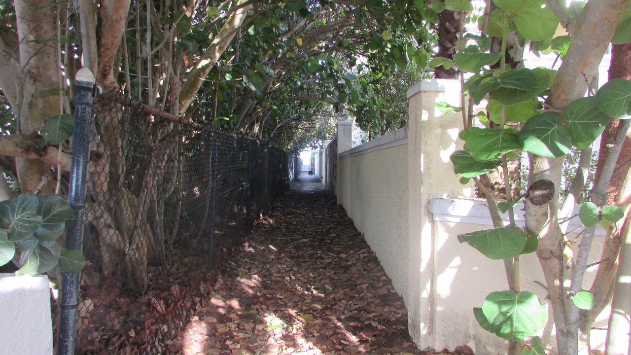 Photo of Others in Ocean Oaks