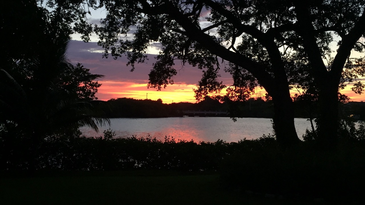 Photo of Others in Jupiter