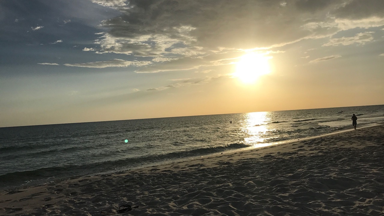 Photo of Others in Longboat Key