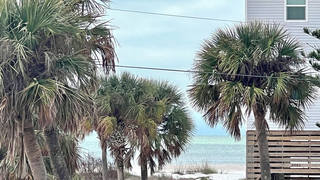 Photo of Others in Mid Island