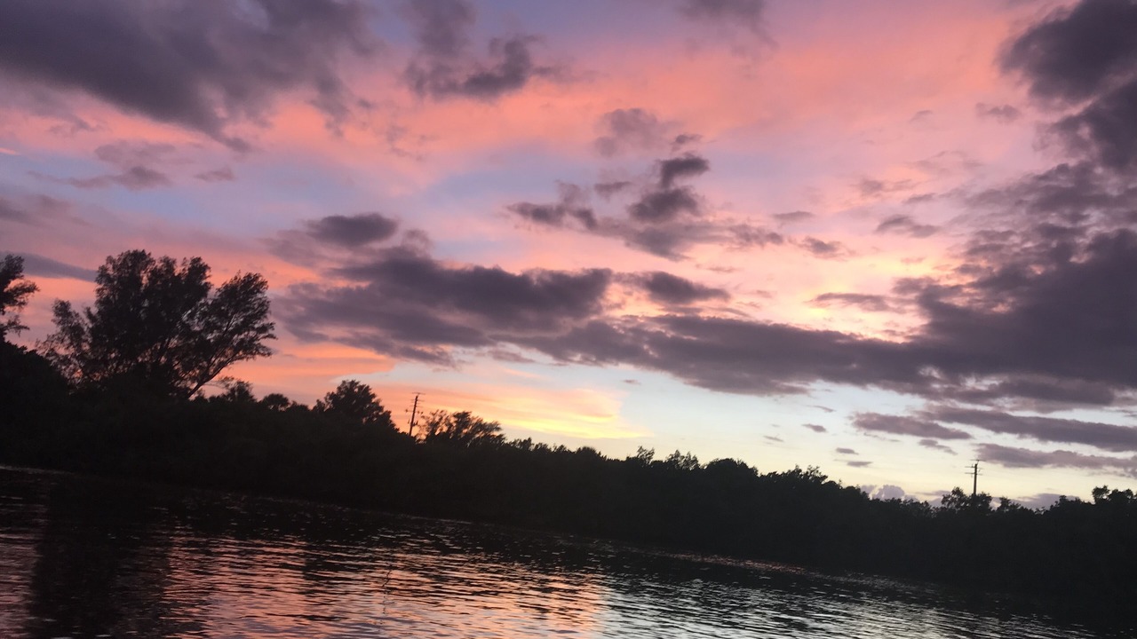 Photo of Others in Nokomis