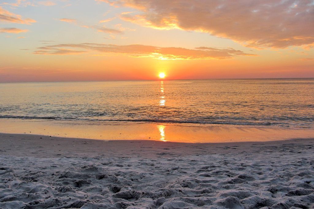 Photo of Others in East Naples