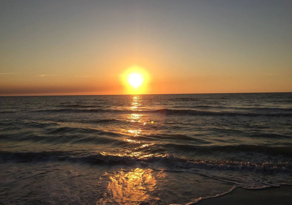Photo of Others in Indian Shores