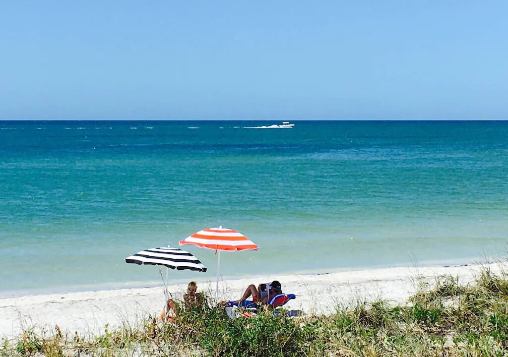 Photo of Others in Indian Shores