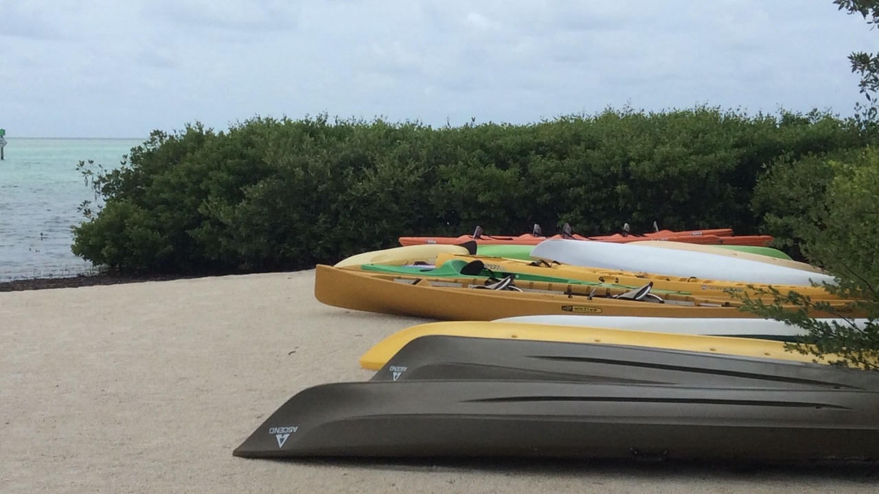 Photo of Others in Islamorada
