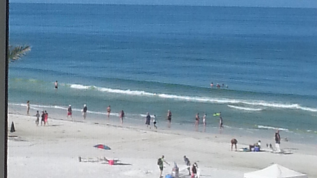 Photo of Others in Siesta Key