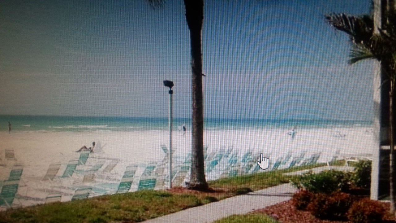 Photo of Others in Siesta Key
