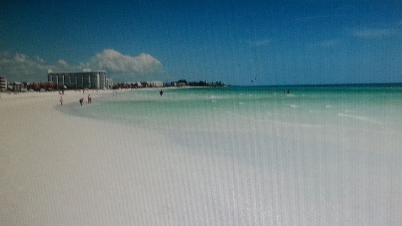 Photo of Others in Siesta Key