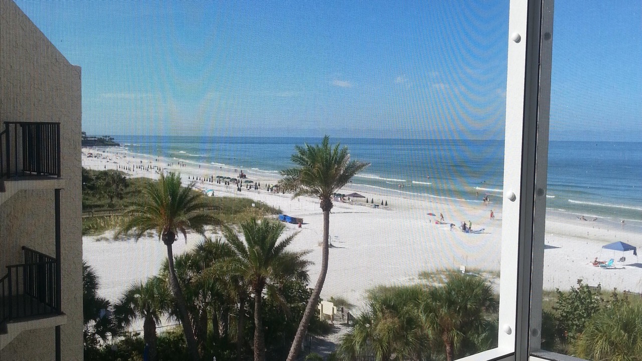 Photo of Others in Siesta Key