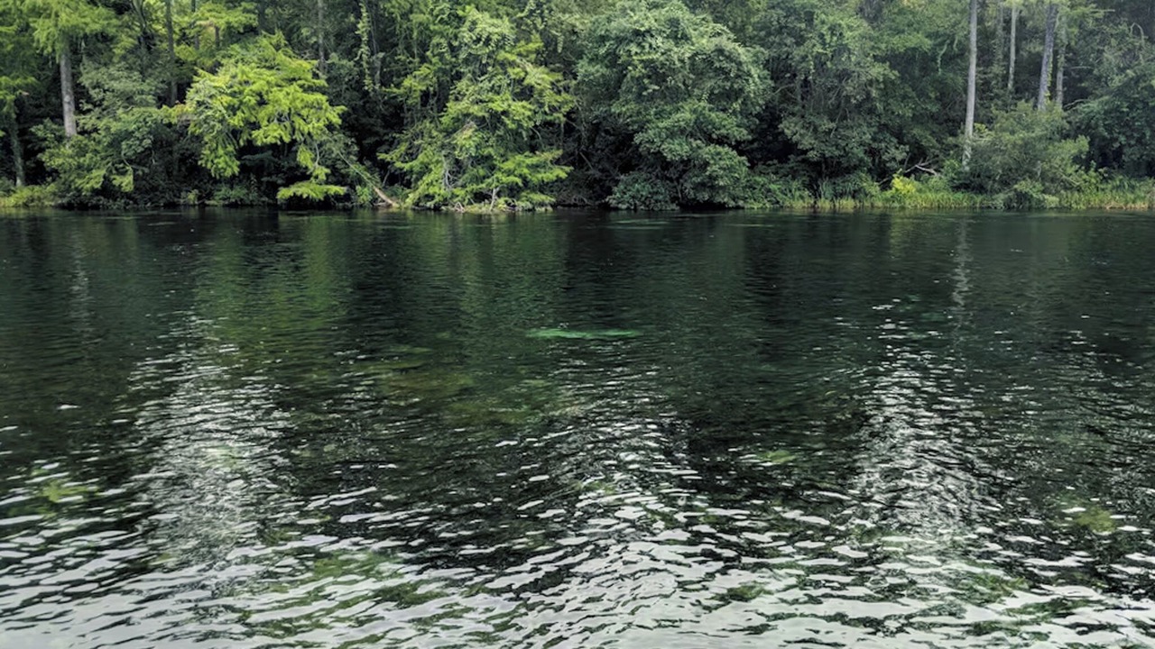 Photo of Others in Dunnellon