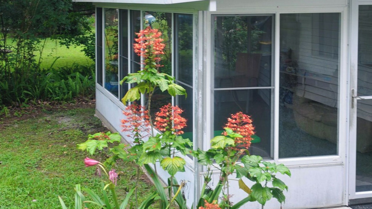 Photo of Outdoor in Dunnellon