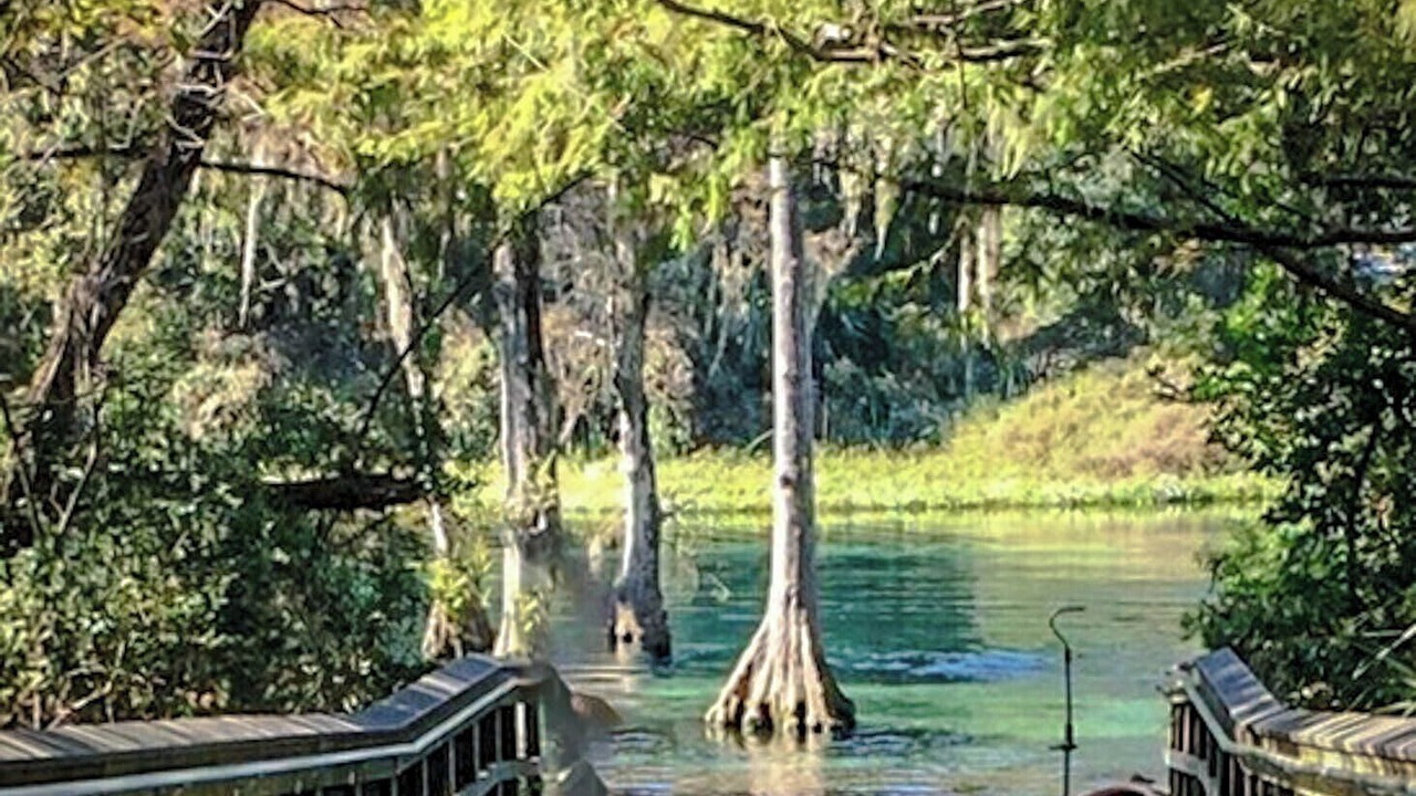 Photo of Others in Dunnellon