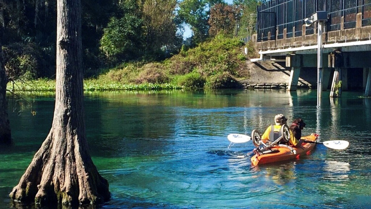 Photo of Others in Dunnellon