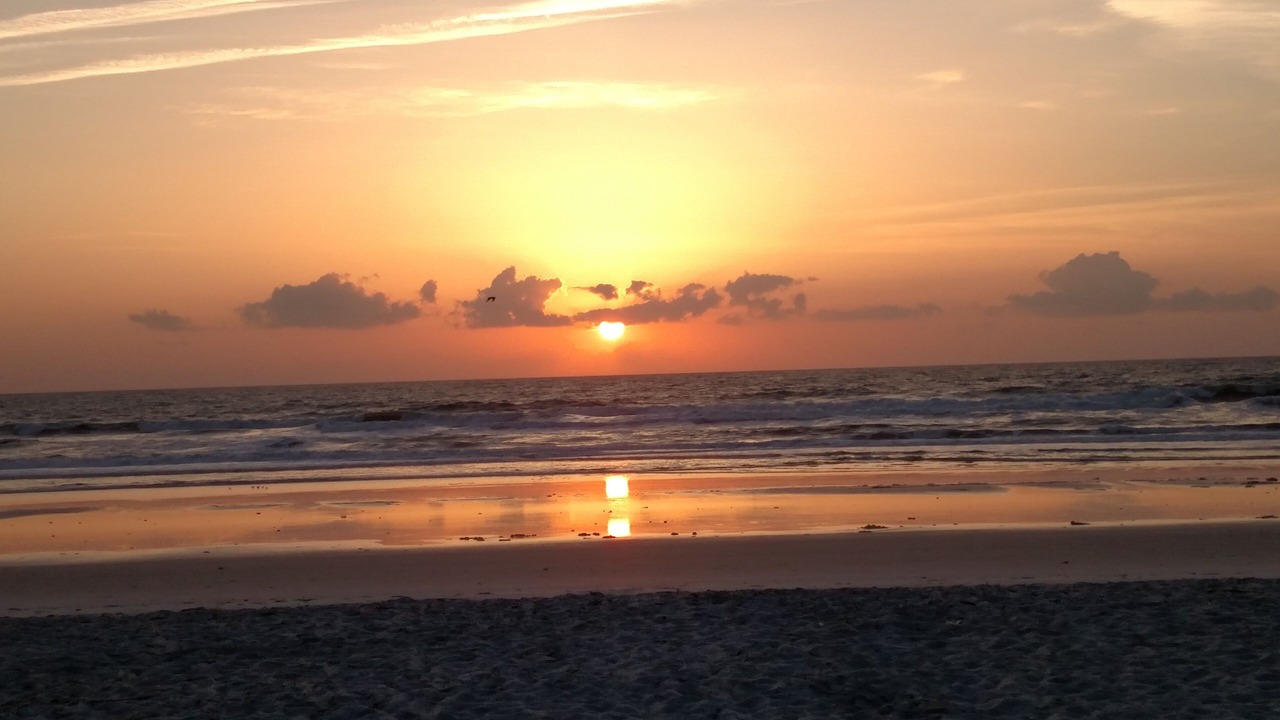 Photo of Others in Neptune Beach
