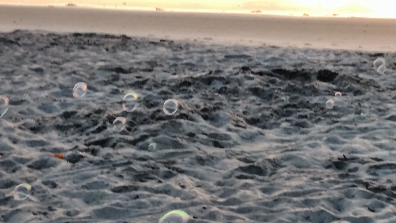 Photo of Others in Neptune Beach