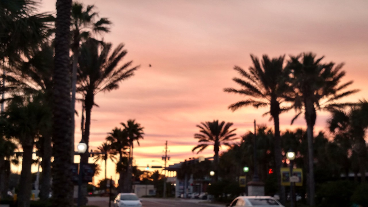 Photo of Others in Neptune Beach