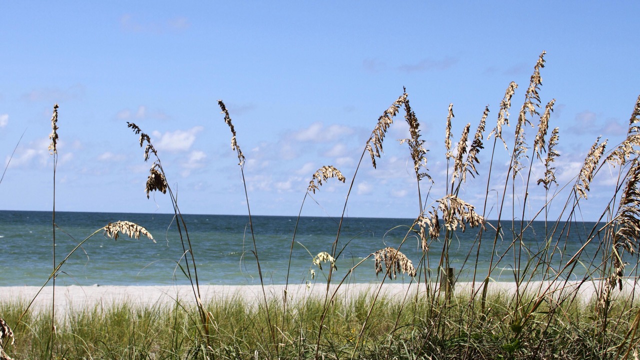 Photo of Others in Captiva
