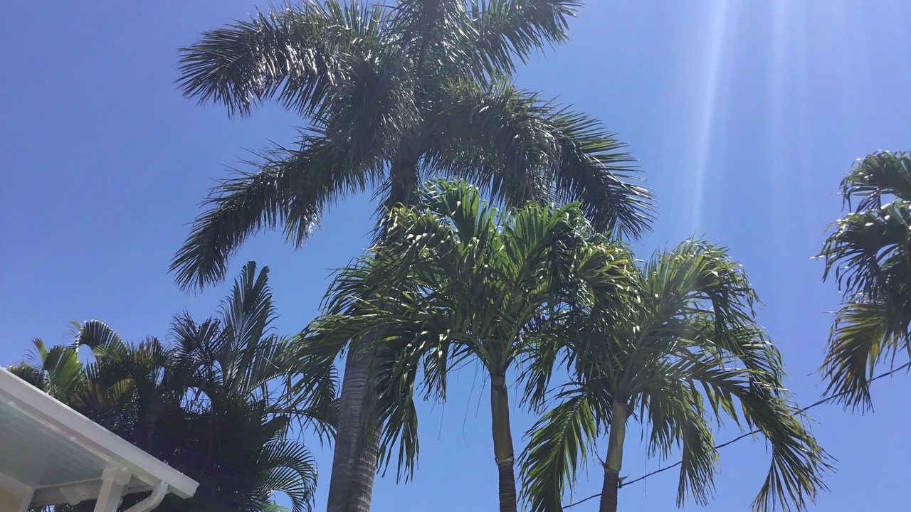 Photo of Outdoor in Flamingo Parks