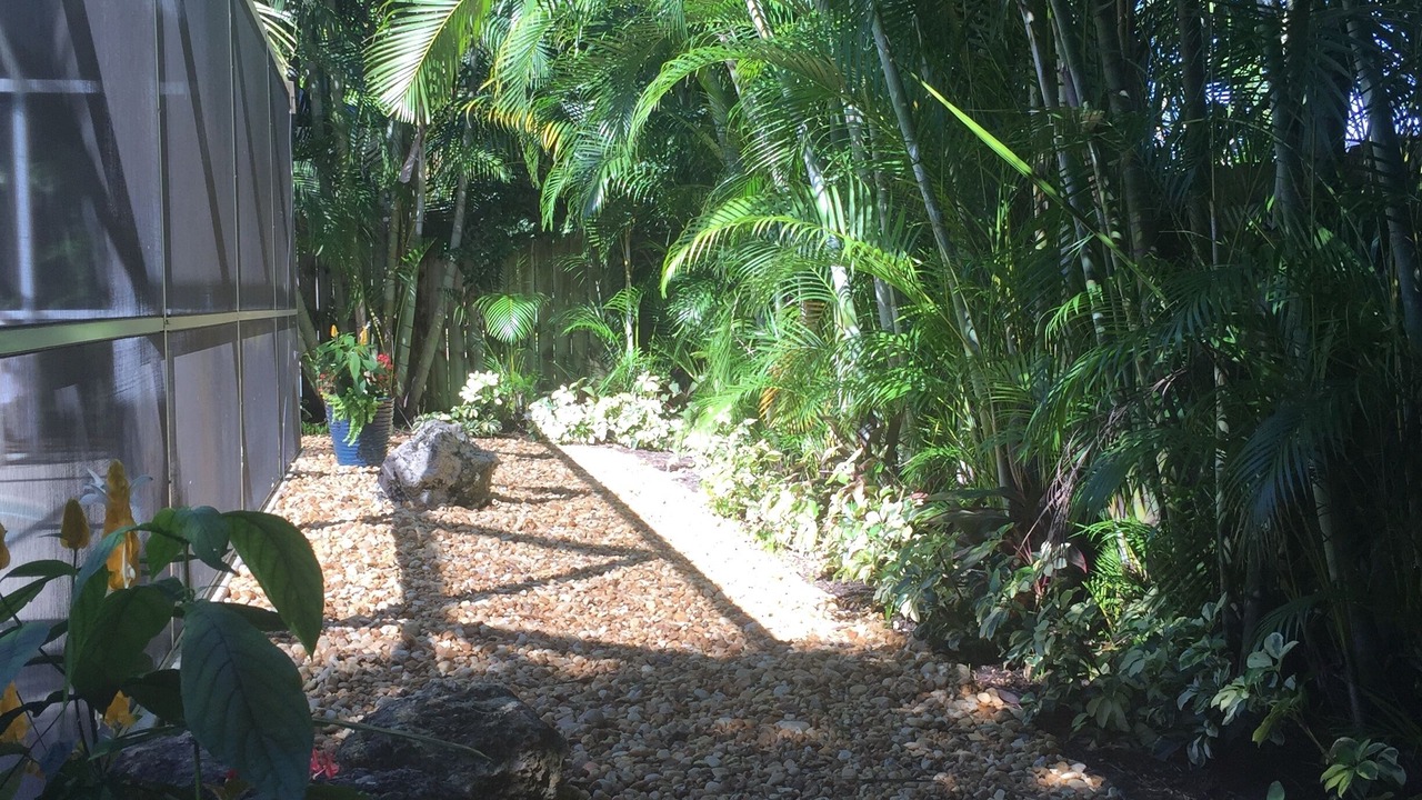 Photo of Outdoor in Naples Park