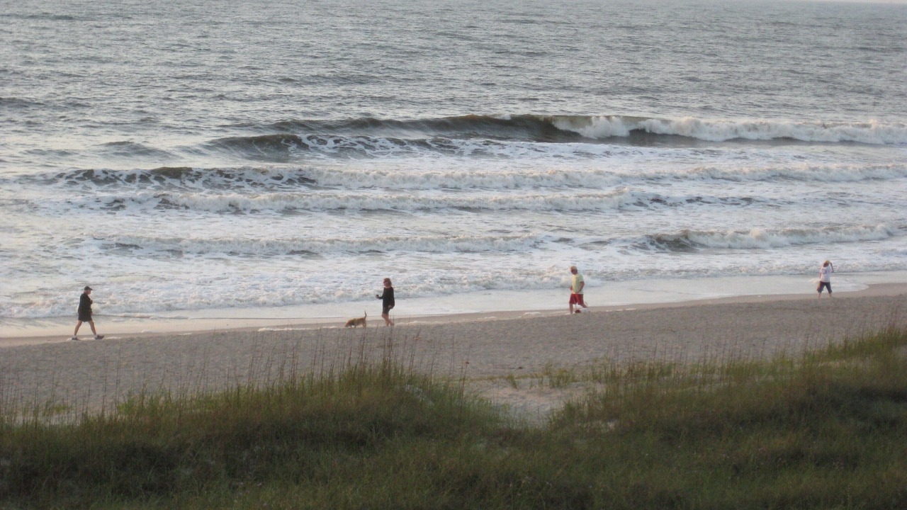 Photo of Others in Ocean Cay