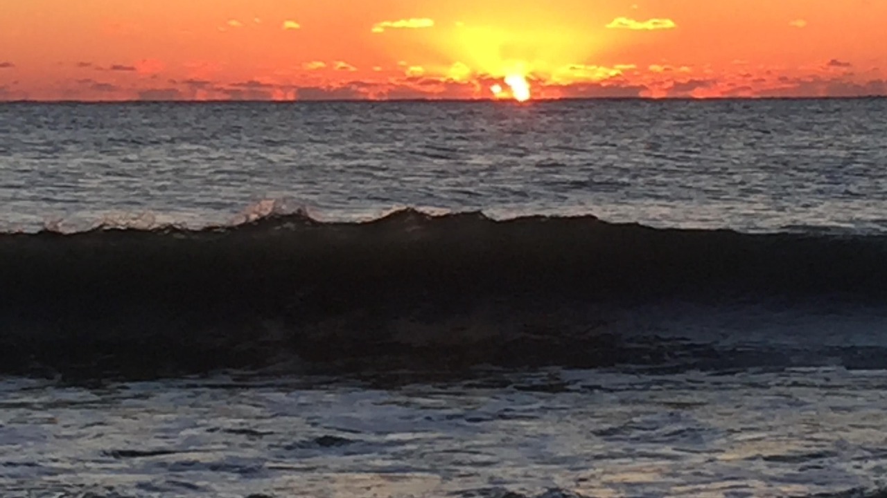 Photo of Others in Ocean Cay