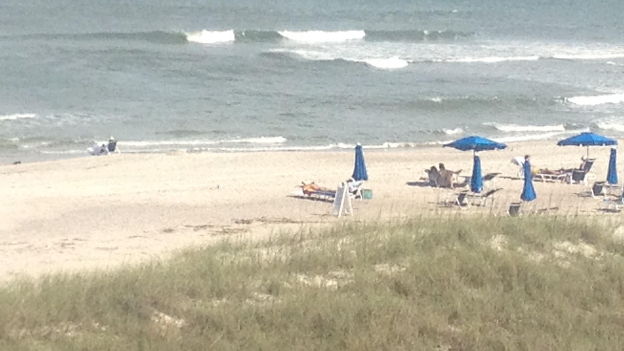 Photo of Others in Ocean Cay