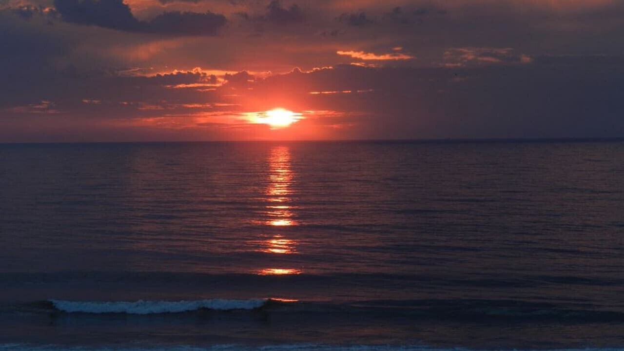 Photo of Others in Fernandina Beach