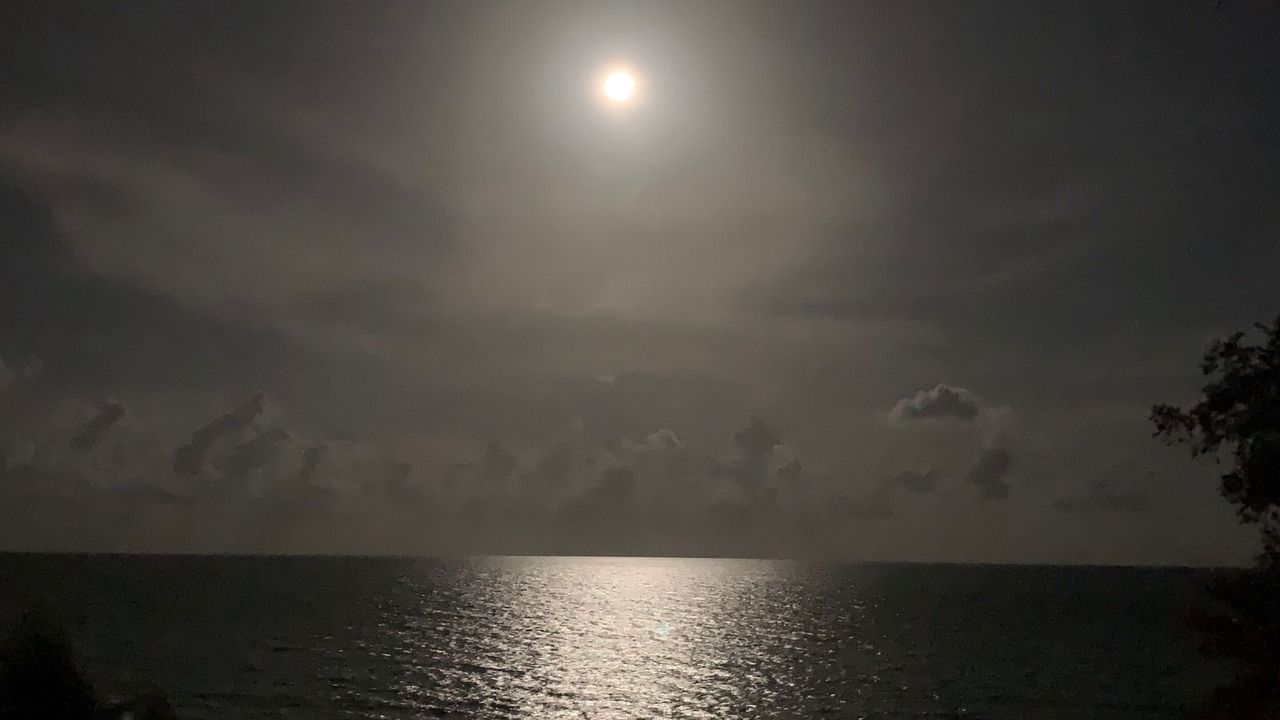 Photo of Others in Longboat Key