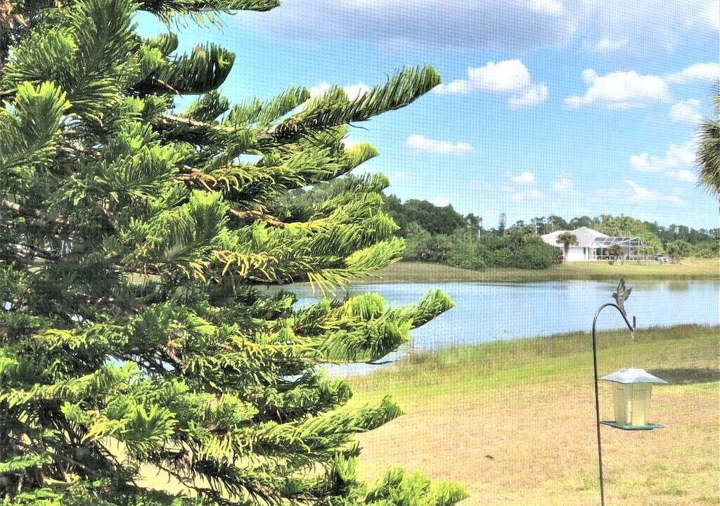 Photo of Outdoor in Eisenhower