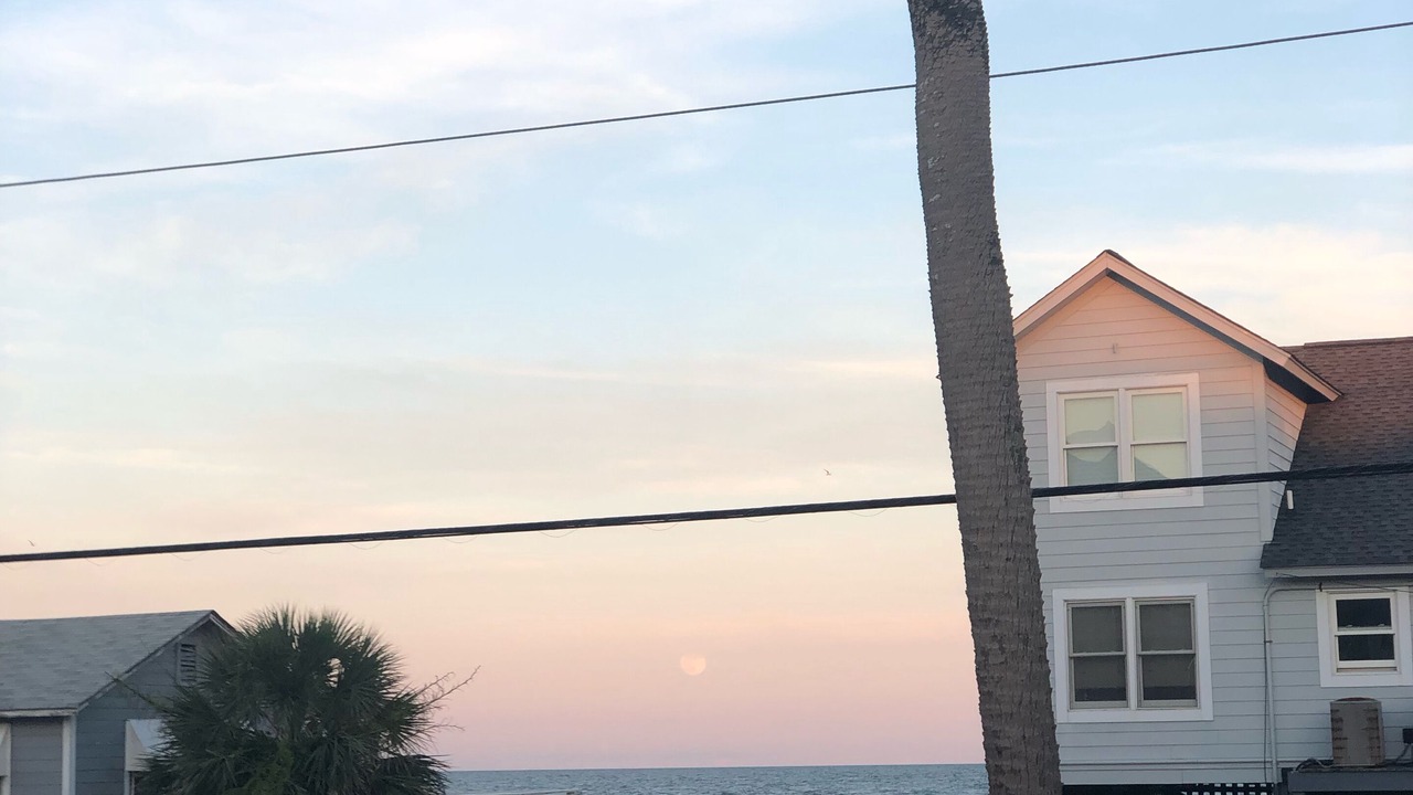 Photo of Others in Edisto Island