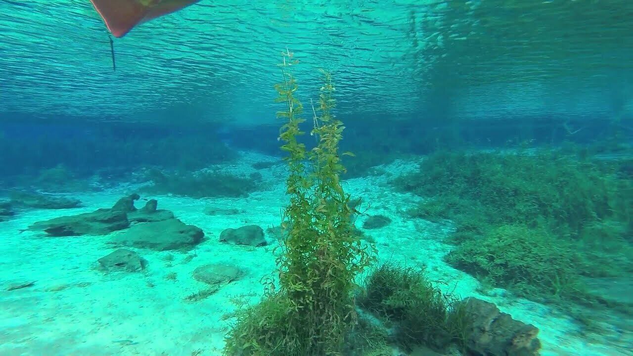 Photo of Outdoor in Dunnellon