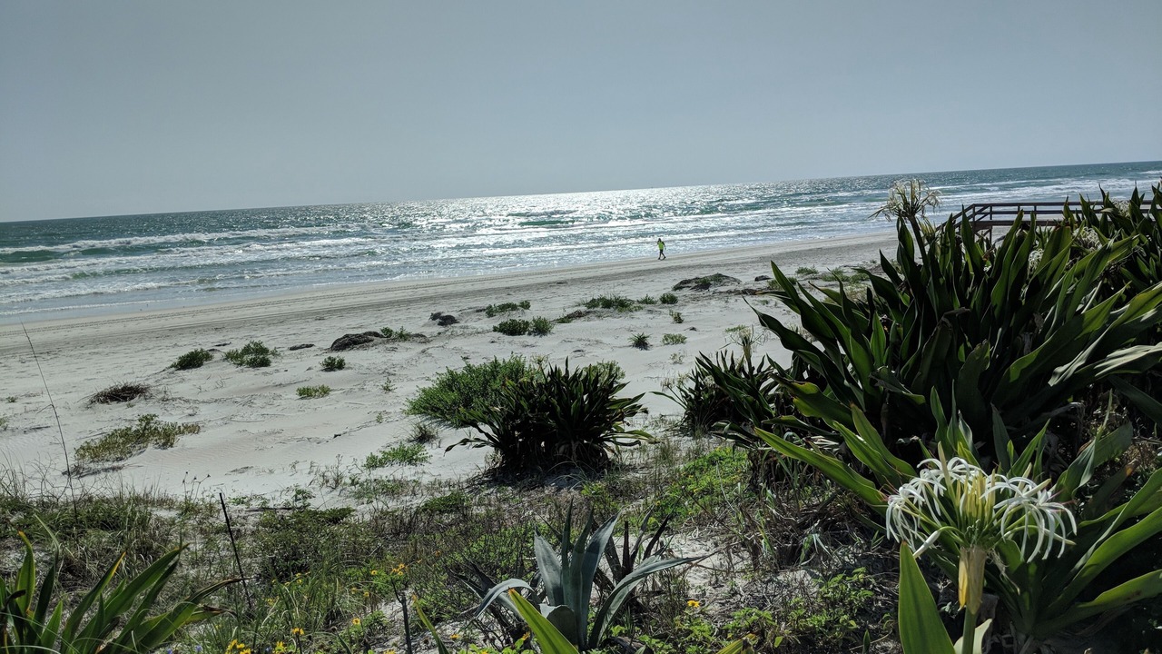 Photo of Others in Ponce Inlet