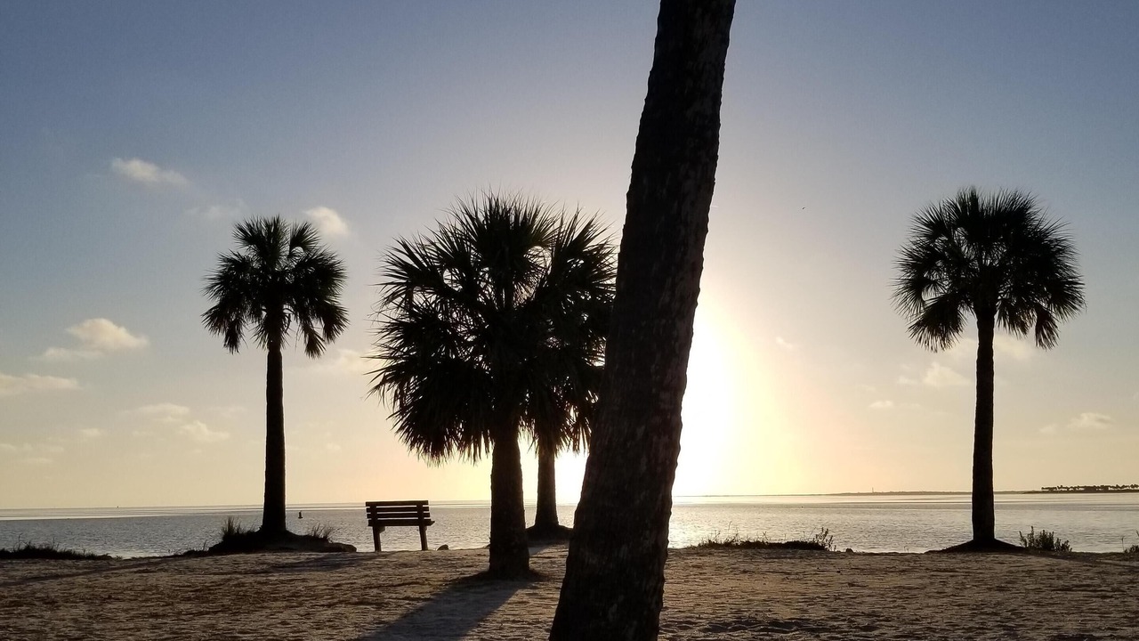 Photo of Others in Tarpon Springs