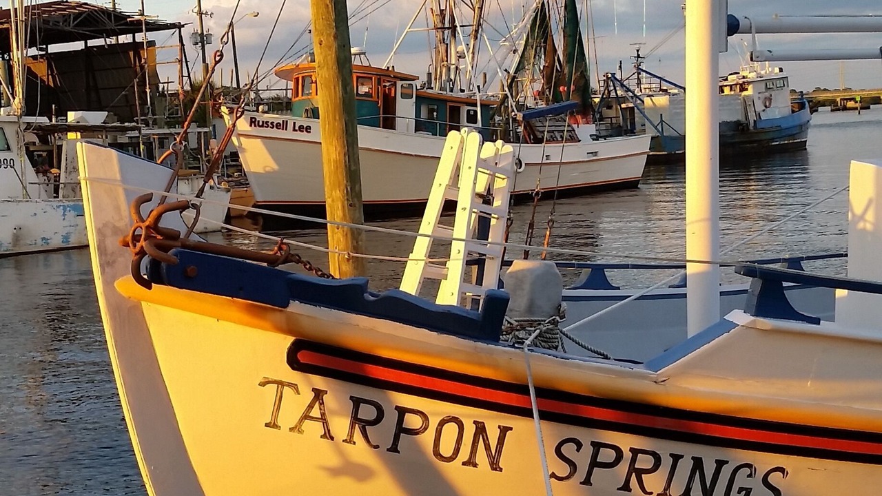 Photo of Others in Tarpon Springs