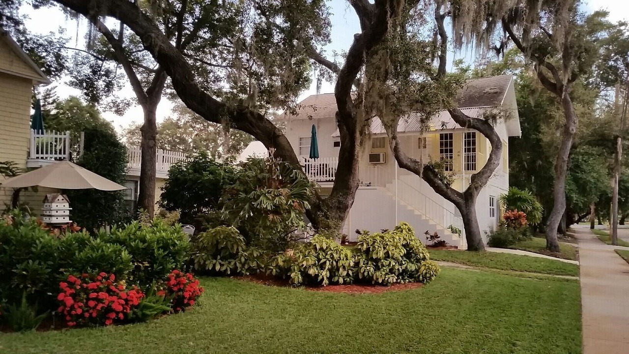Photo of Others in Tarpon Springs