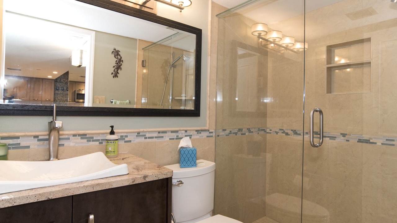 Photo of Bathroom in Indian Rocks Beach