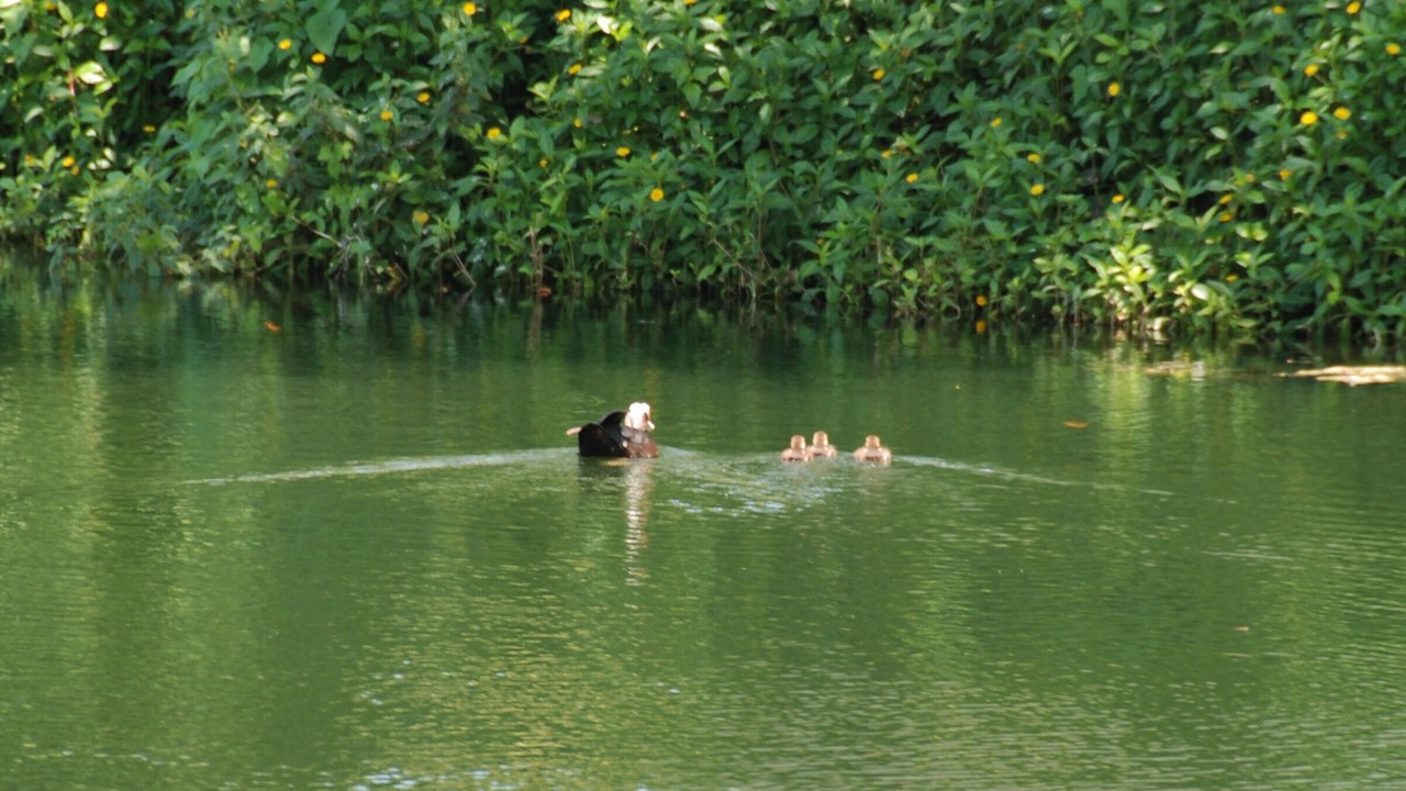 Photo of Outdoor in Old Naples