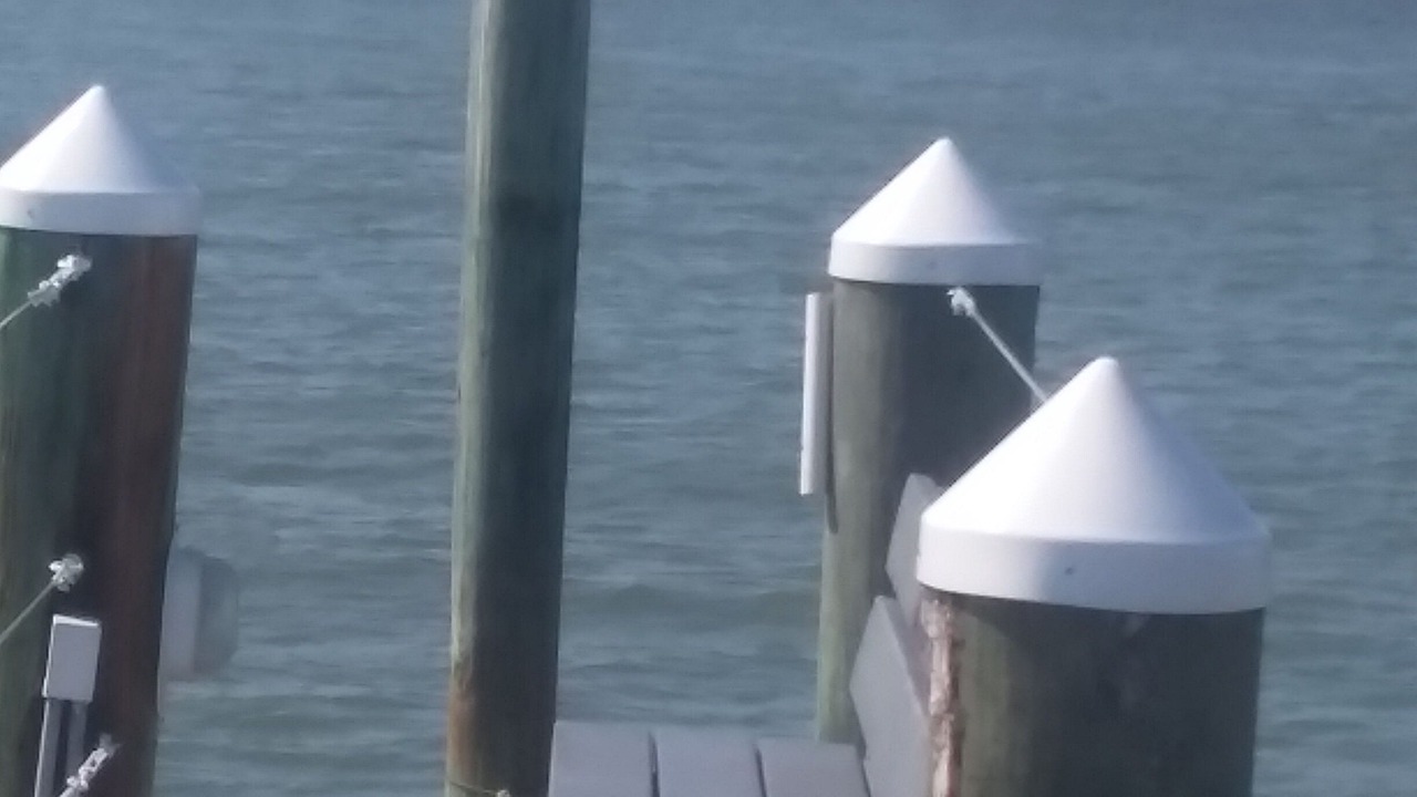 Photo of Others in New Smyrna Beach