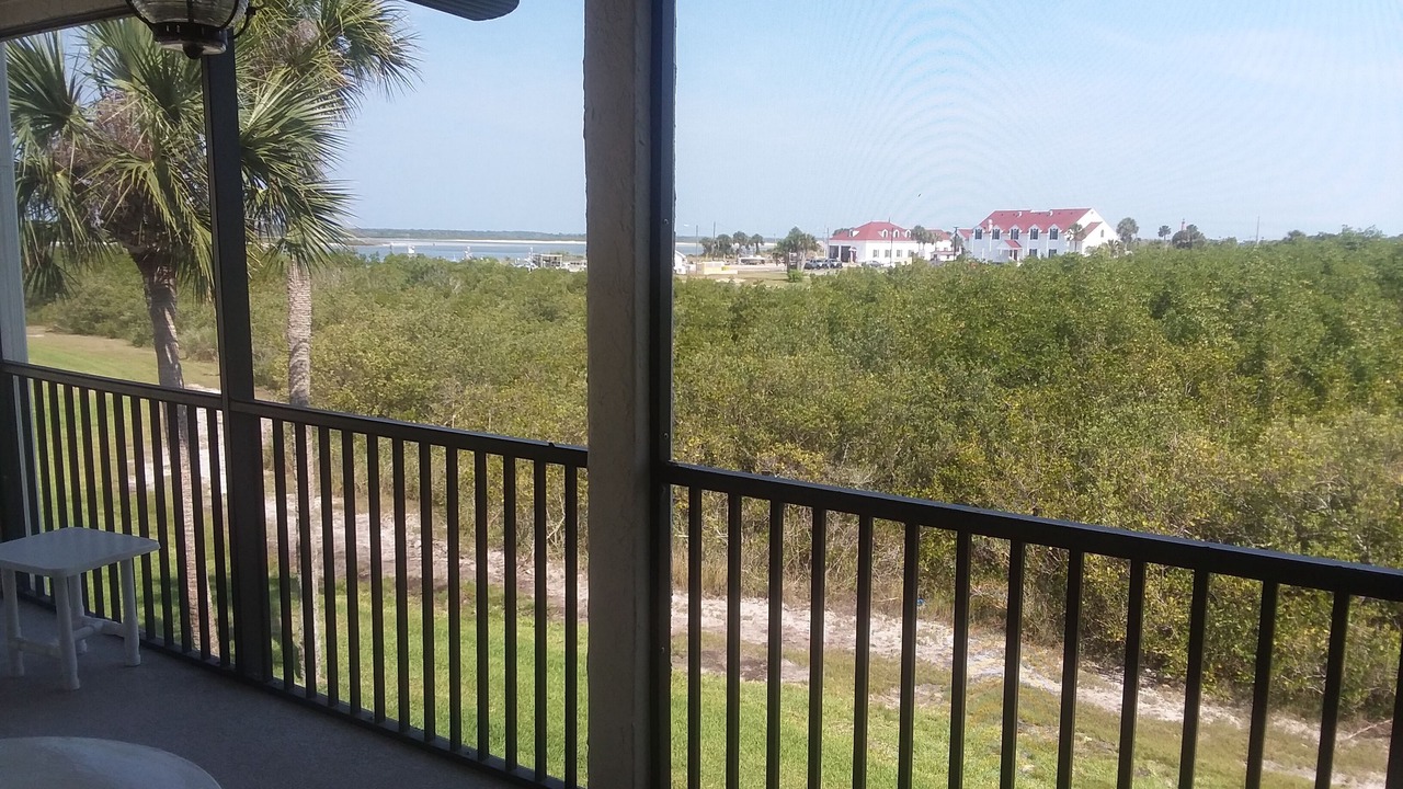 Photo of Others in New Smyrna Beach