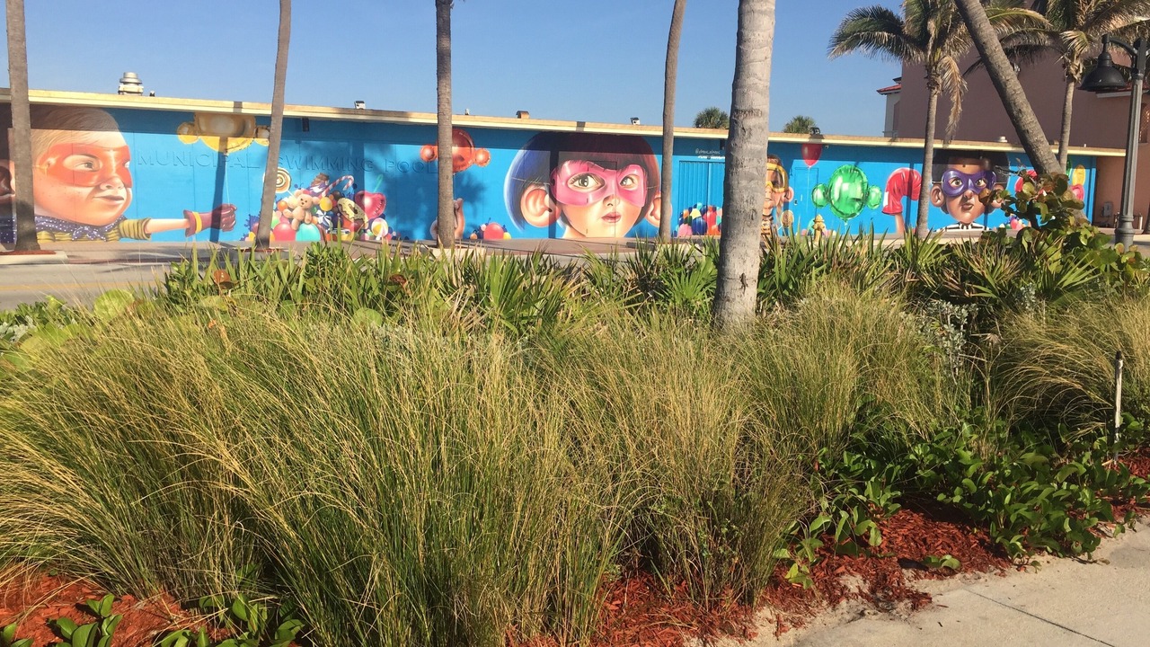 Photo of Outdoor in Lake Worth