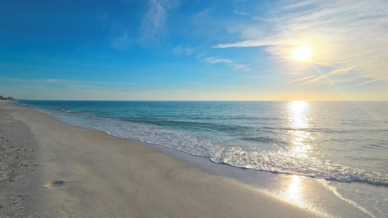 Photo of Others in Anna Maria