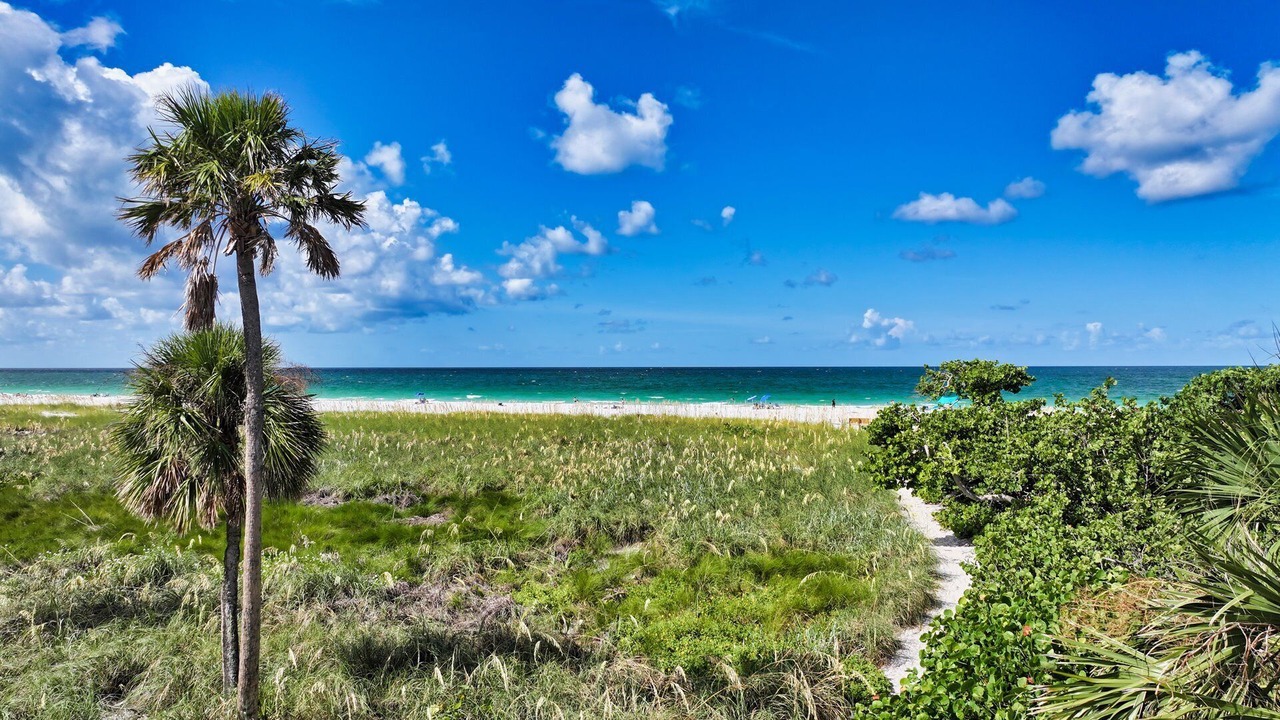 Photo of Others in Anna Maria