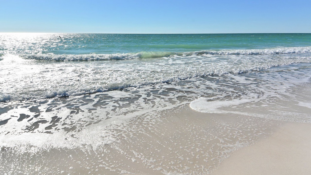 Photo of Others in Anna Maria