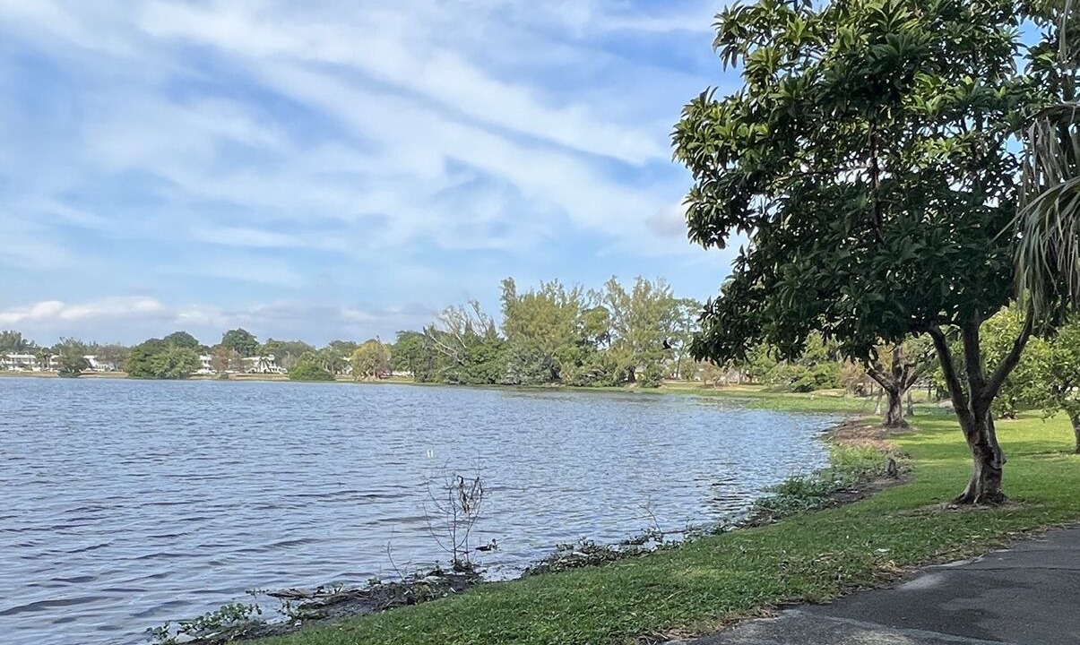 Photo of Others in East Ocean Ave
